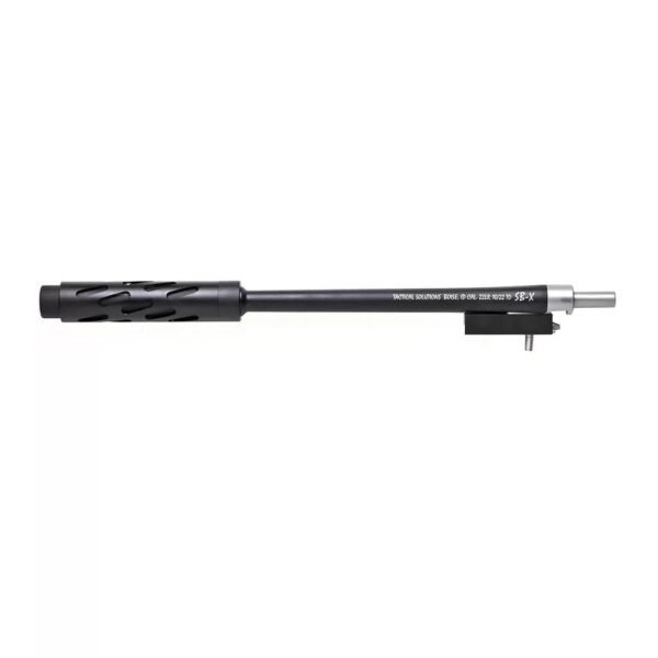 ruger 10/22 barrel